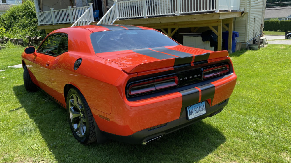 Signs and vehicle wraps gallery image