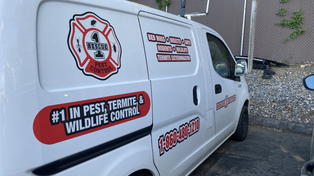 Signs and vehicle wraps gallery image