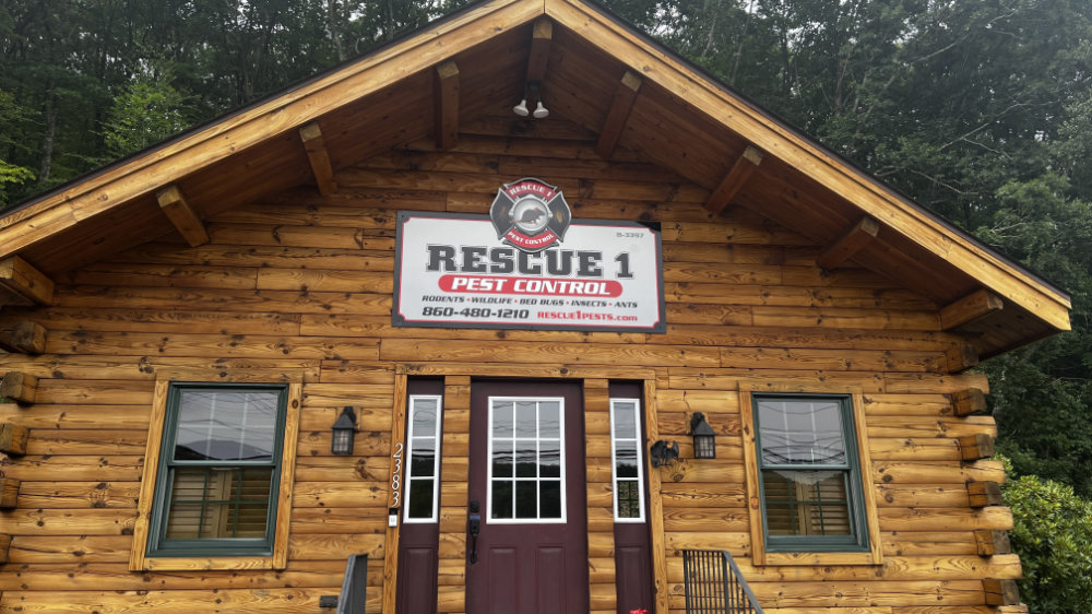 Signs and vehicle wraps gallery image